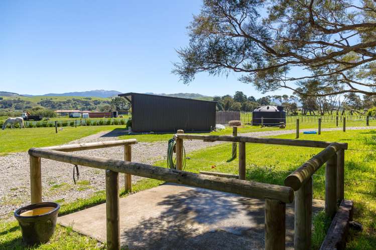 364 Wiltons Road West Taratahi_36