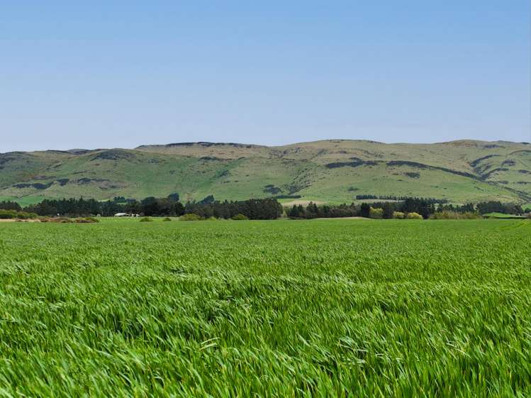 Warr Road. Balfour_11