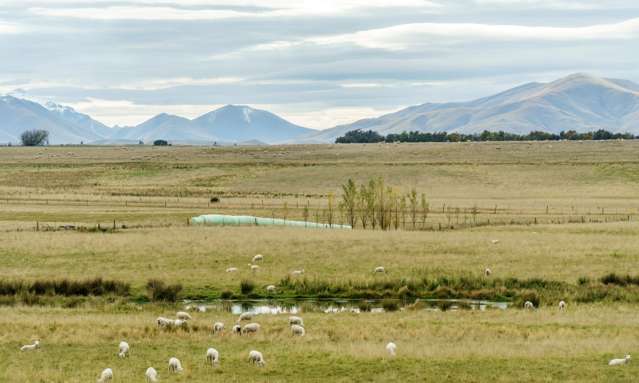 305 Bypass Road Ranfurly_3