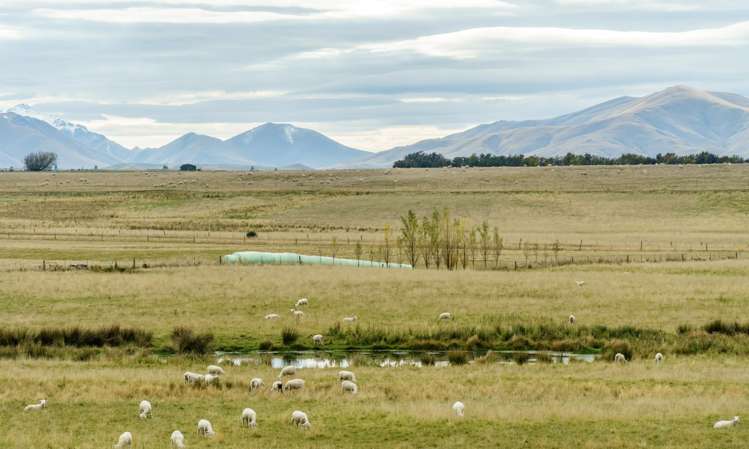 305 Bypass Road Ranfurly_3