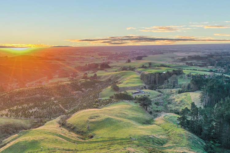 68a Greens Road Linton_8