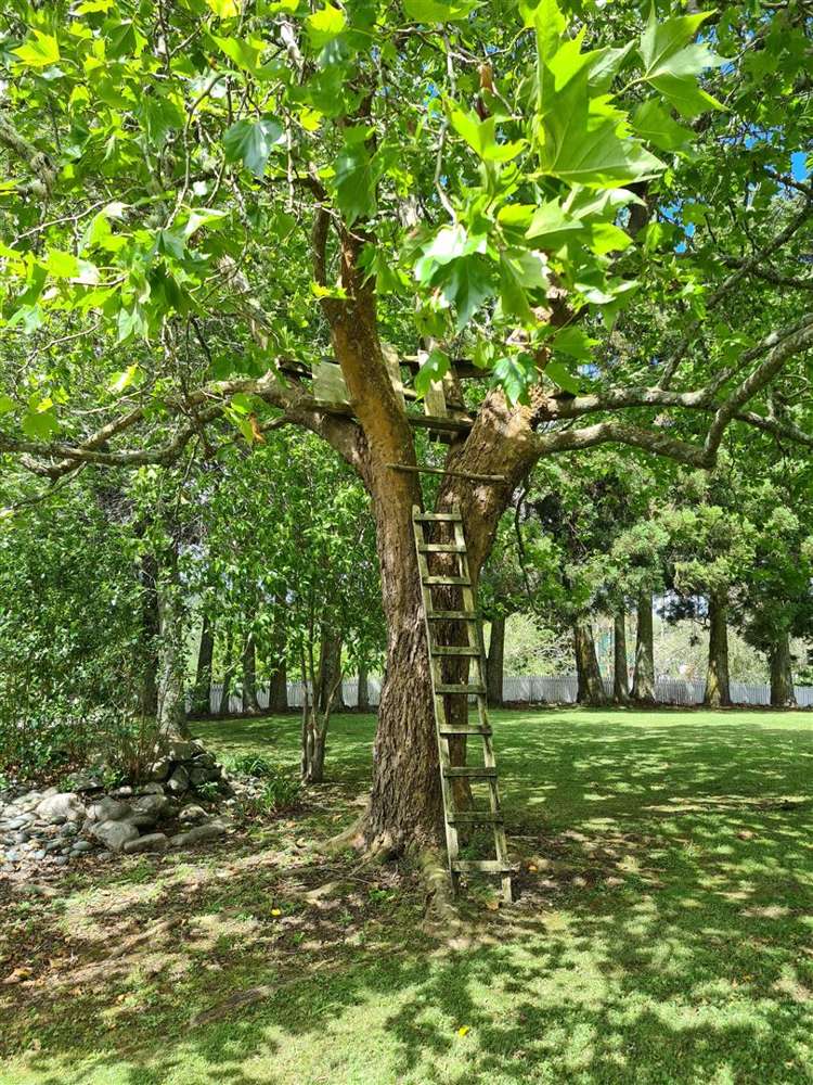 347 Horseshoe Bush Road Dairy Flat_20