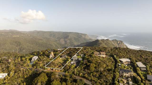 6 Log Race Road Piha_4