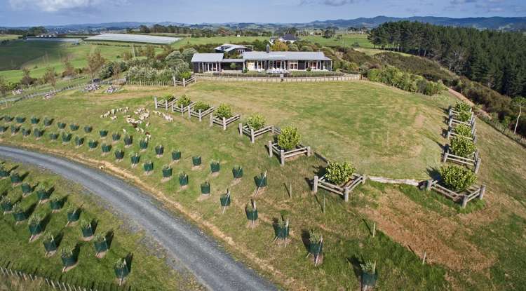 271 Takatu Road Tawharanui Peninsula_19