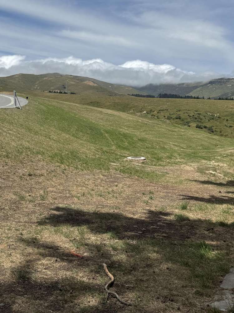 316 Kennedys Bush Road_3