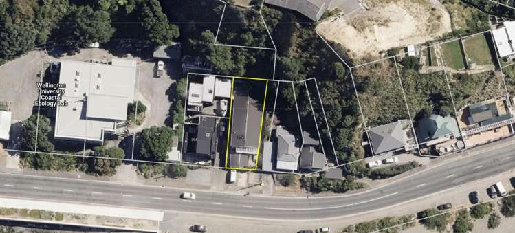 392 The Esplanade Island Bay_15