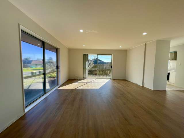 49 Michael Jones Drive Flat Bush_1