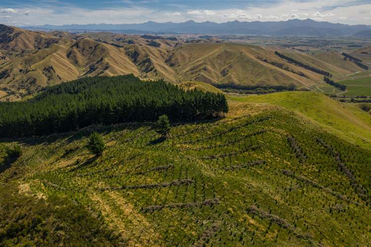 793 Taylor Pass Road Taylor Pass_18