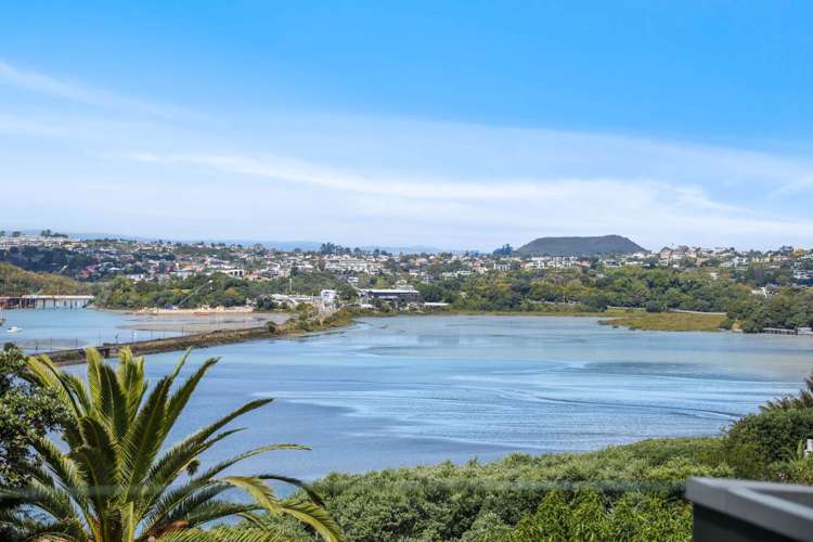 117B St Stephens Avenue Parnell_33