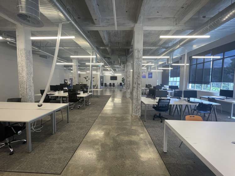 24 Balfour Road Parnell_7