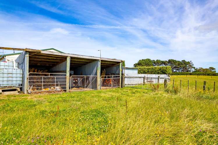 2062 South Road Otakeho_23