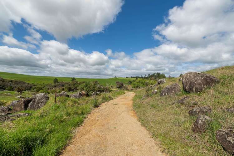 183A Wiroa Road Kerikeri_18