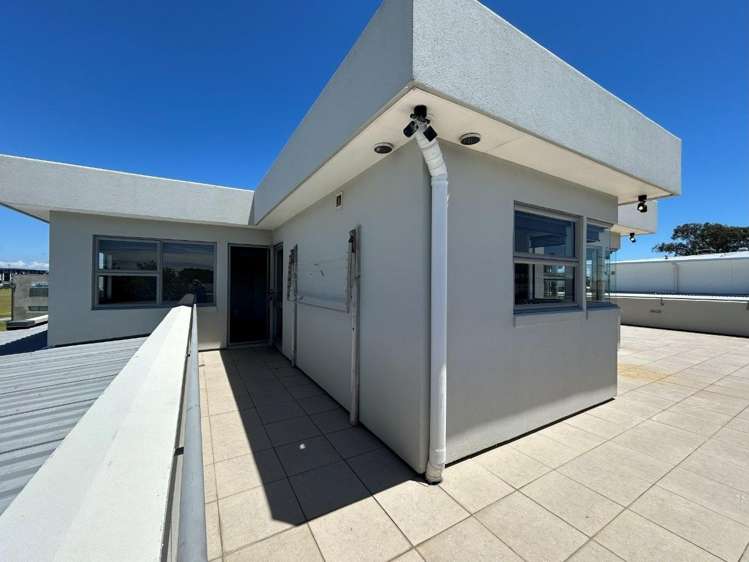 10 Grenada Street 11229_24