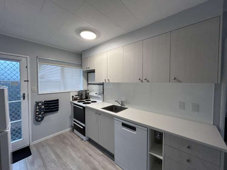 3/153 Songer Street 10816_3