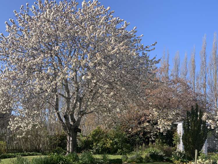 122 Old Port Road Catlins Surrounds_38