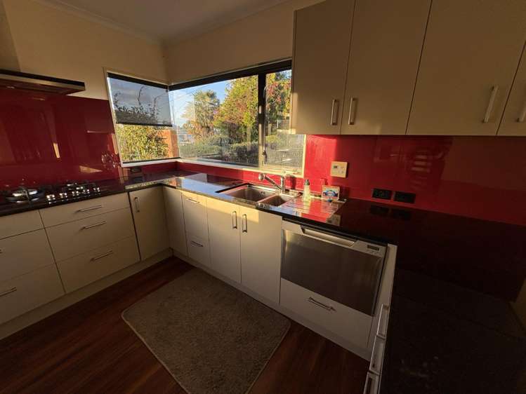 167 Bond Road Te Awamutu_6