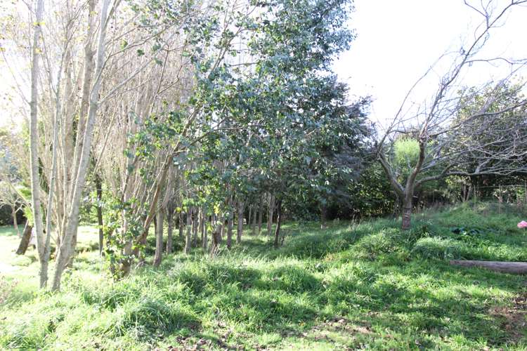 199 Waituna Road Pahiatua_20