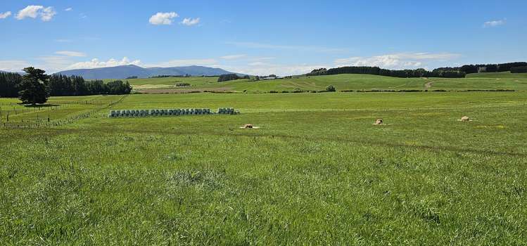 Parker Road Gore Surrounds_4