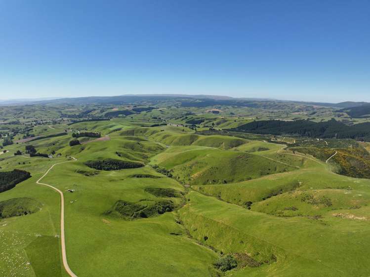 1916 Manuka Gorge Road Waitahuna Gully_6