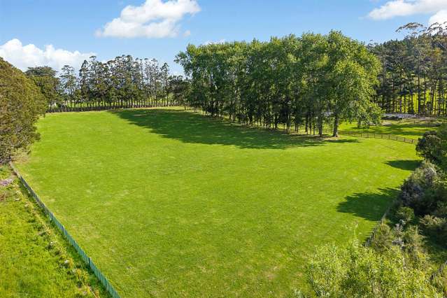 WHISPERING TREES - Create the Dream