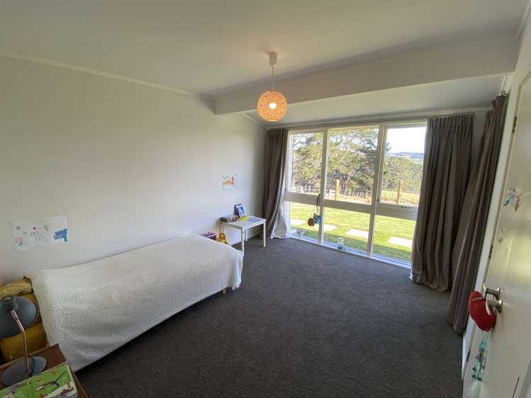 264 Ara-Kotinga Whitford_15