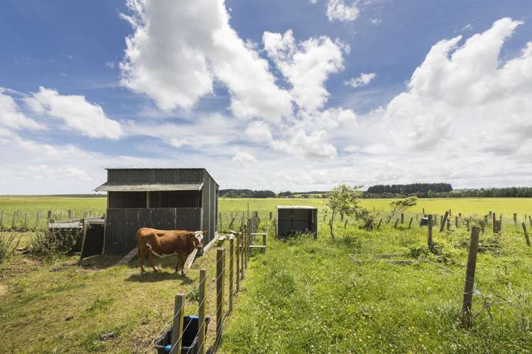 149 Short Road Halcombe_24