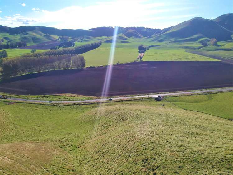 1455 Middle Road Poukawa_4