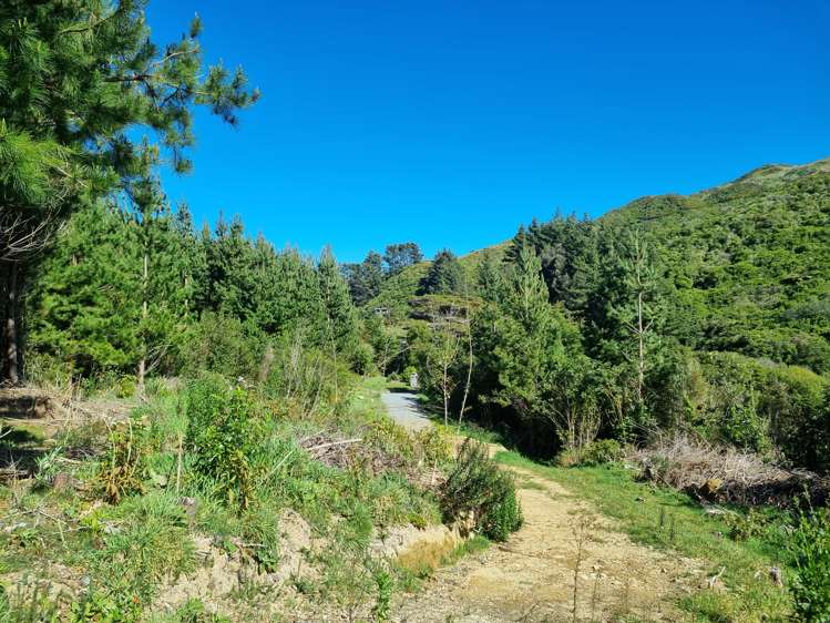 238 Stratton Street Normandale_10