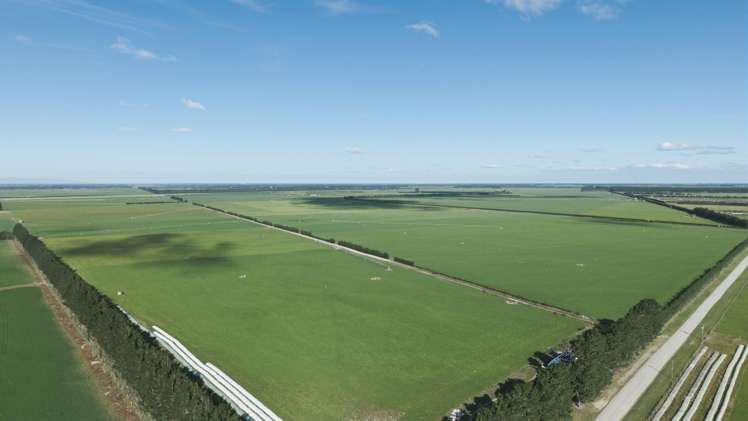 803 Ardlui Road Te Pirita_5