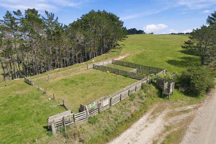 Mount Wesley Coast Road Dargaville_1
