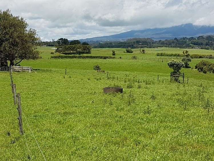 80 Koru Road Omata_34