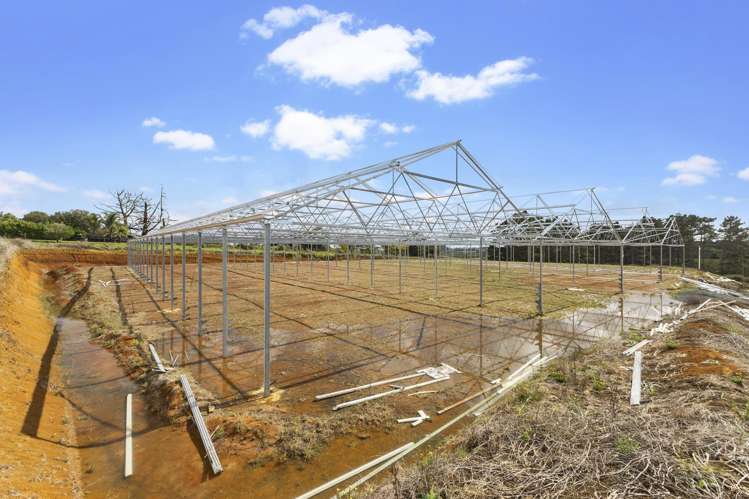 76 Aka Aka Road Puni_17