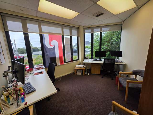 4 Western Springs Road Morningside_4