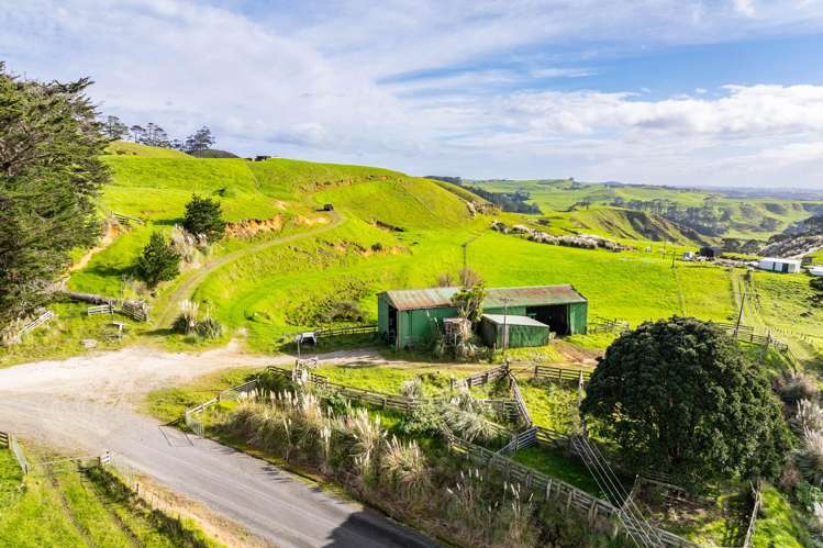 Pinaki Road Dargaville_12