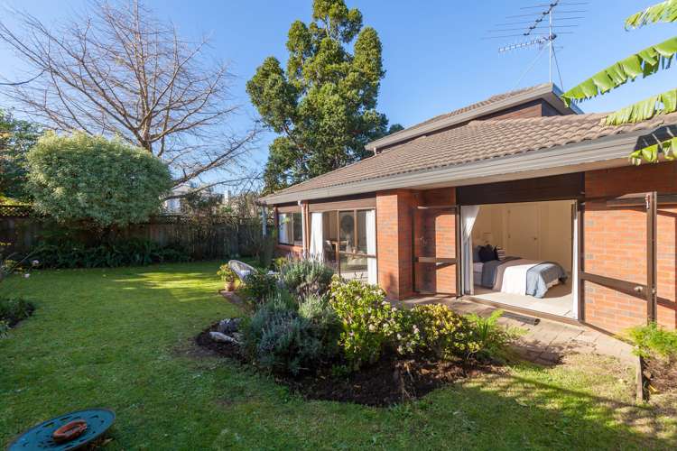190a Campbell Road Greenlane_11