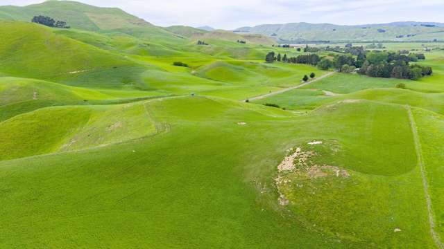 Te Huka Block, Aupaki Block and Panapa Block Poukawa_3