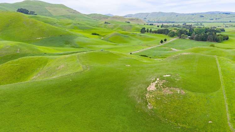 Te Huka Block, Aupaki Block and Panapa Block_3