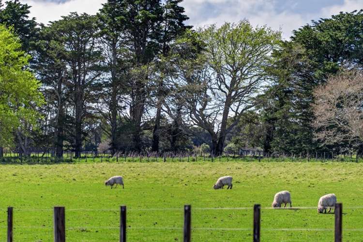 2 / 36A Spencer Lane Greytown_12
