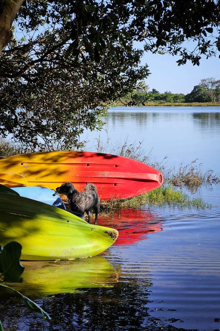 25 Pohutukawa Drive Athenree_40