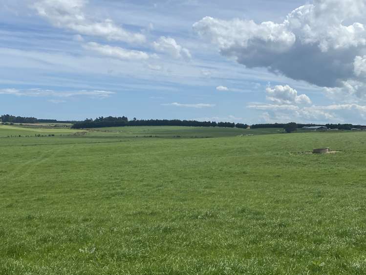 491 Waituna Gorge Road Wyndham Surrounds_9