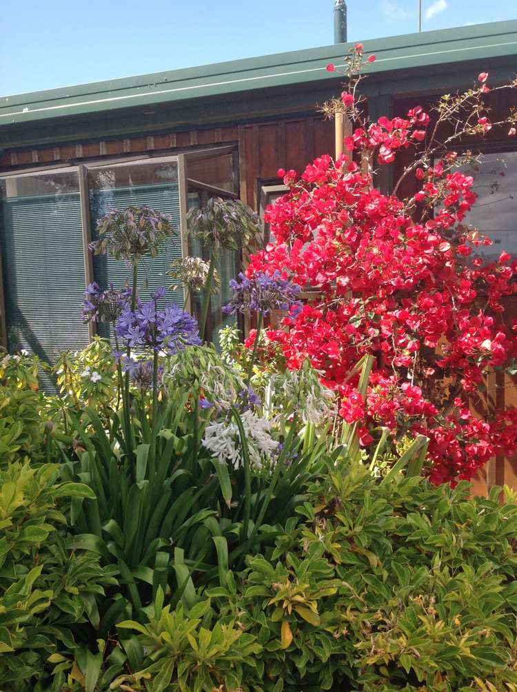 14 Puriri Place Sandspit_24