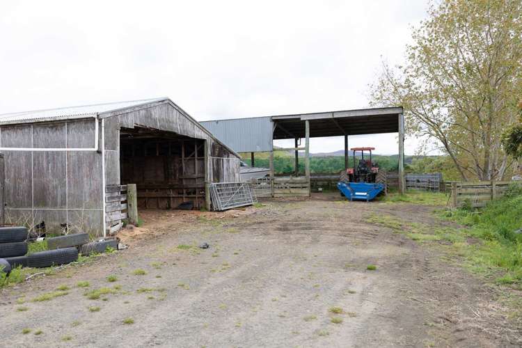 1557 Waihue Road Dargaville Surrounds_23