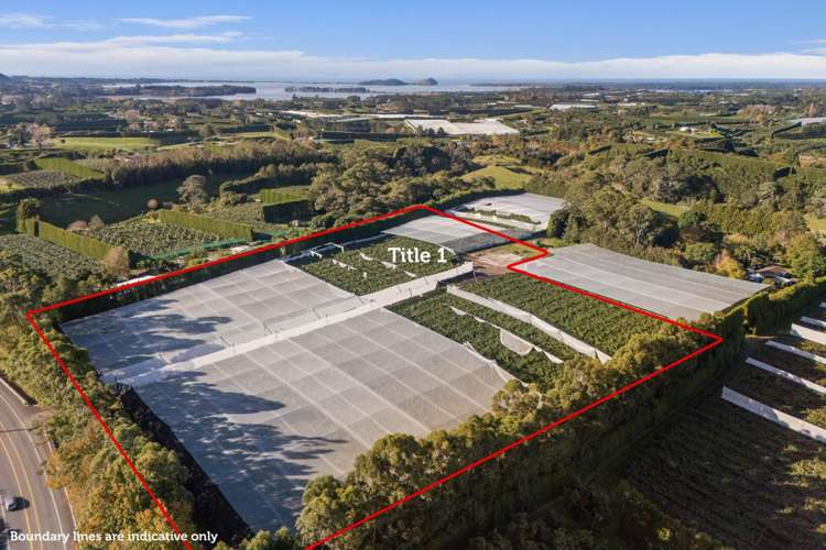 416 State Highway 2 Katikati_3