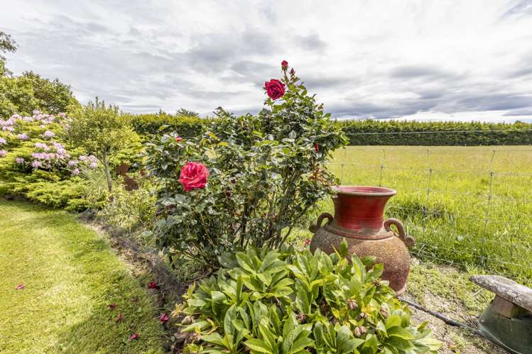 309 School Road West Eyreton_44