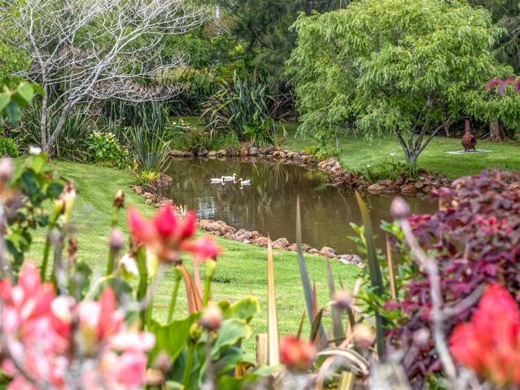 68 Wiroa Road Kerikeri_15