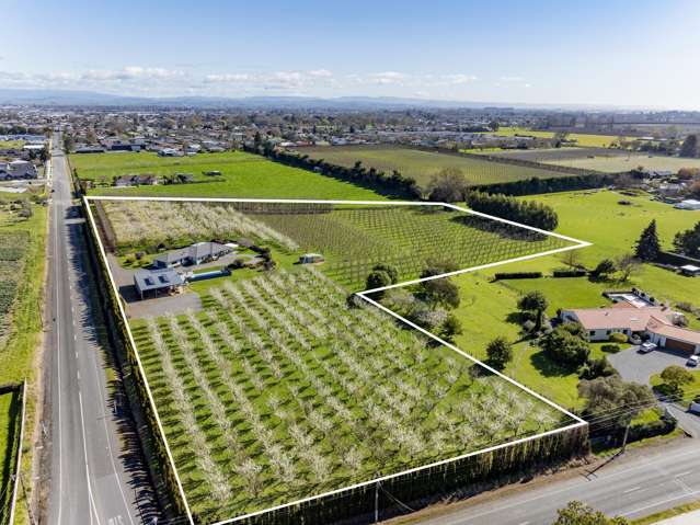 1280 Howard Street Parkvale_1