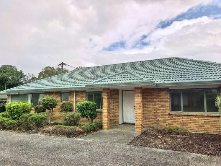 216b Campbell Road Greenlane_0
