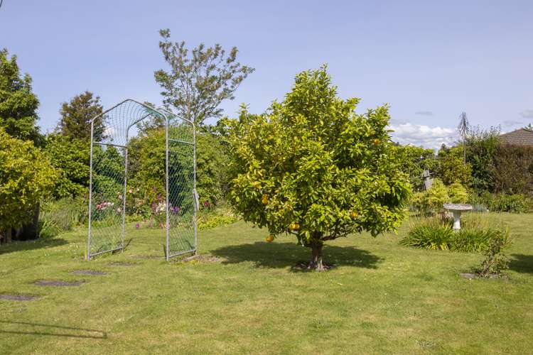 2 Paul Street Masterton_4