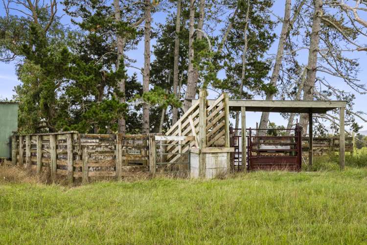 394A Ngaruawahia Road Te Kowhai_35