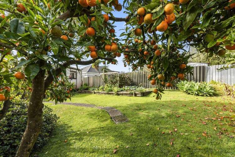 18 Alnwick Street Warkworth_9